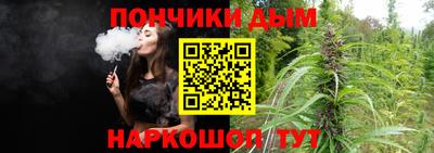 шишки Обнинск